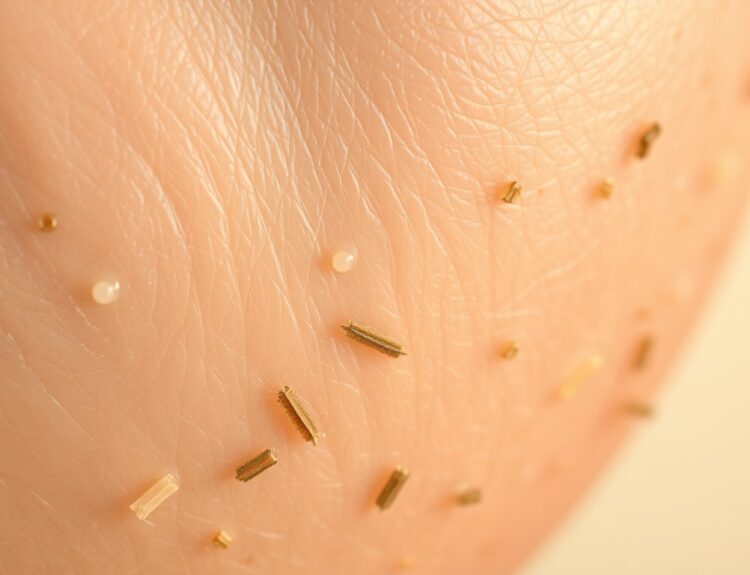 DSlibertarians | Роль микробиоты кожи в дерматологических заболеваниях